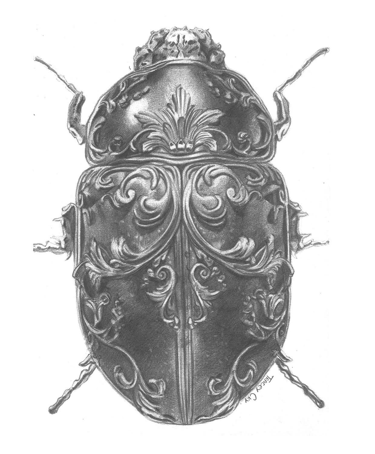 Jewel-bug.-Graphite-on-paper.-14x21-cm