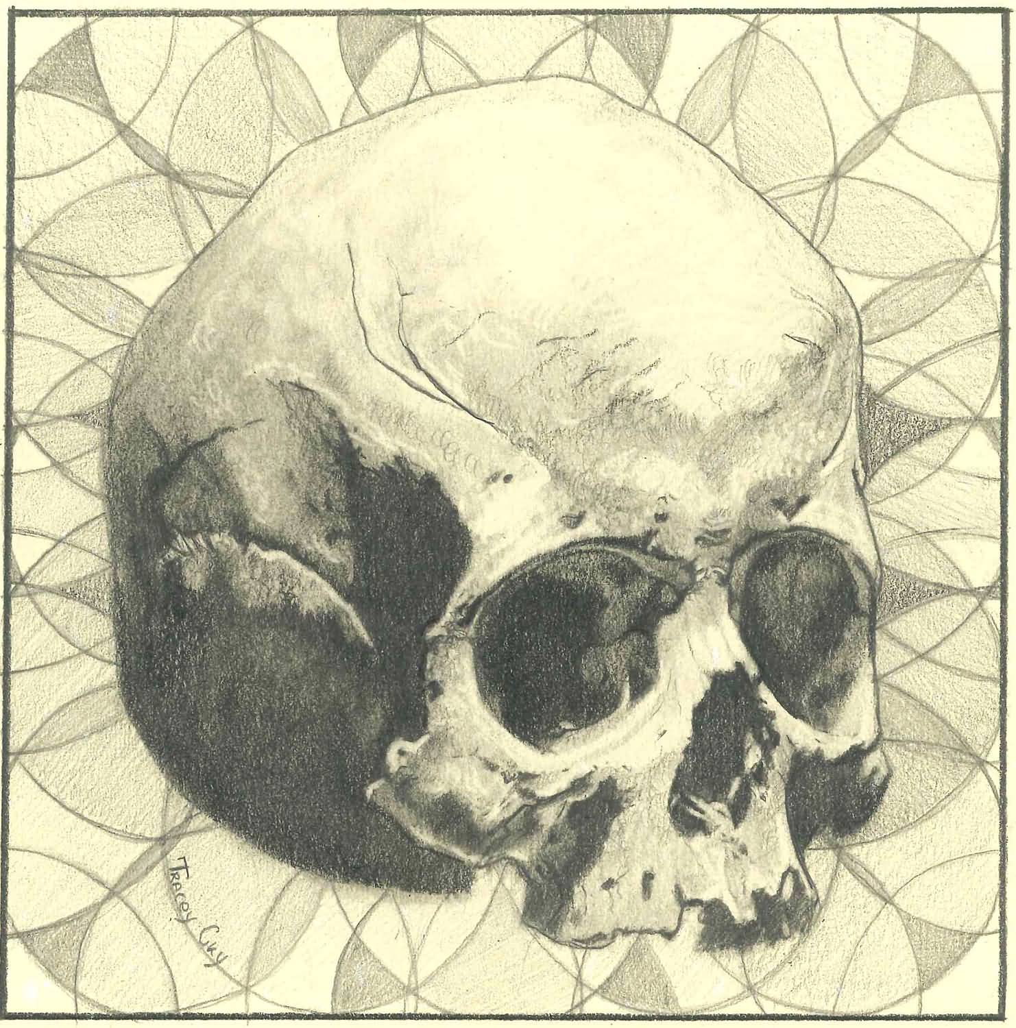 Skull. Graphite on paper. 15x15 cm. 2018