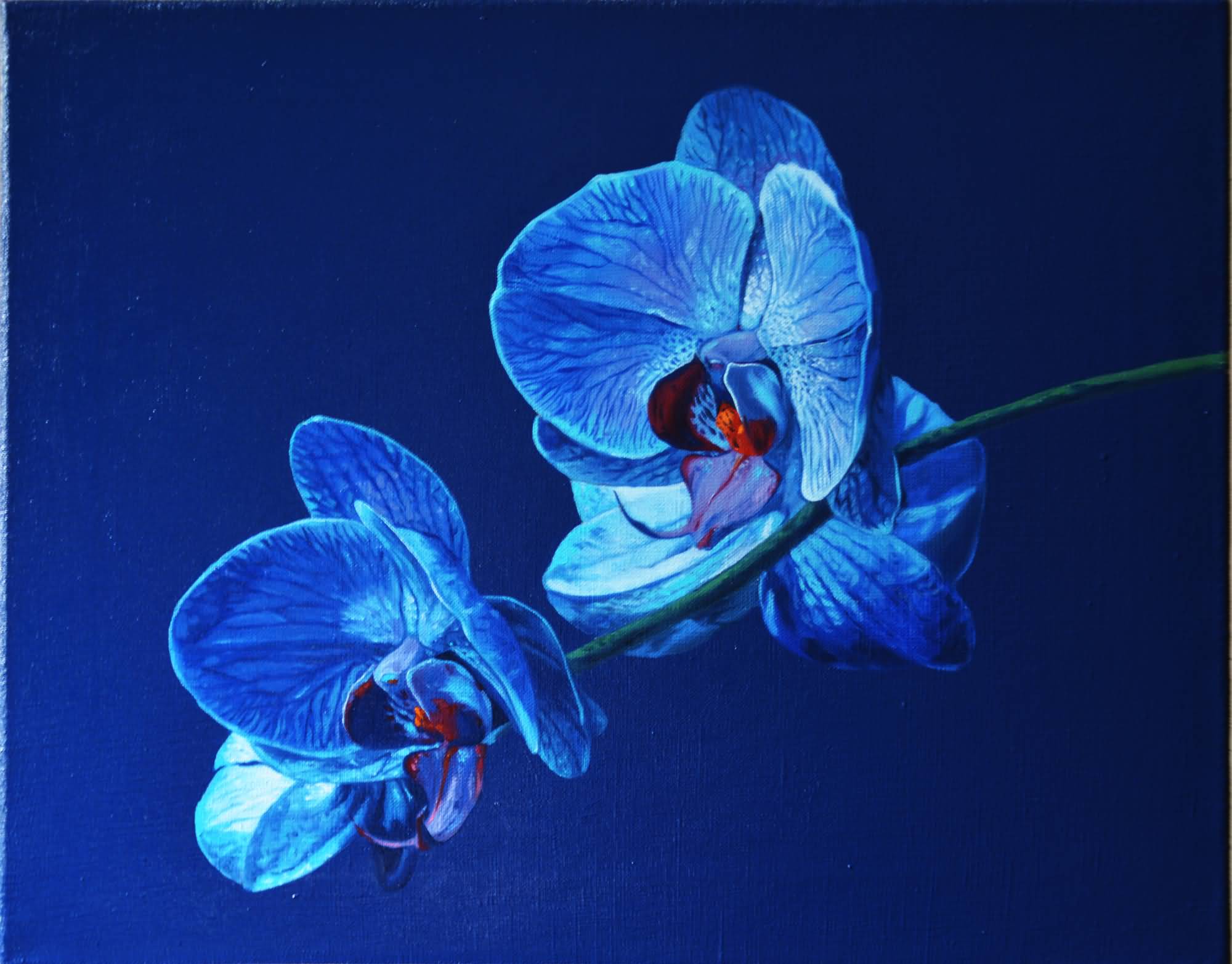 Blue orchids. Oil on canvas. 40x50cm. 2019