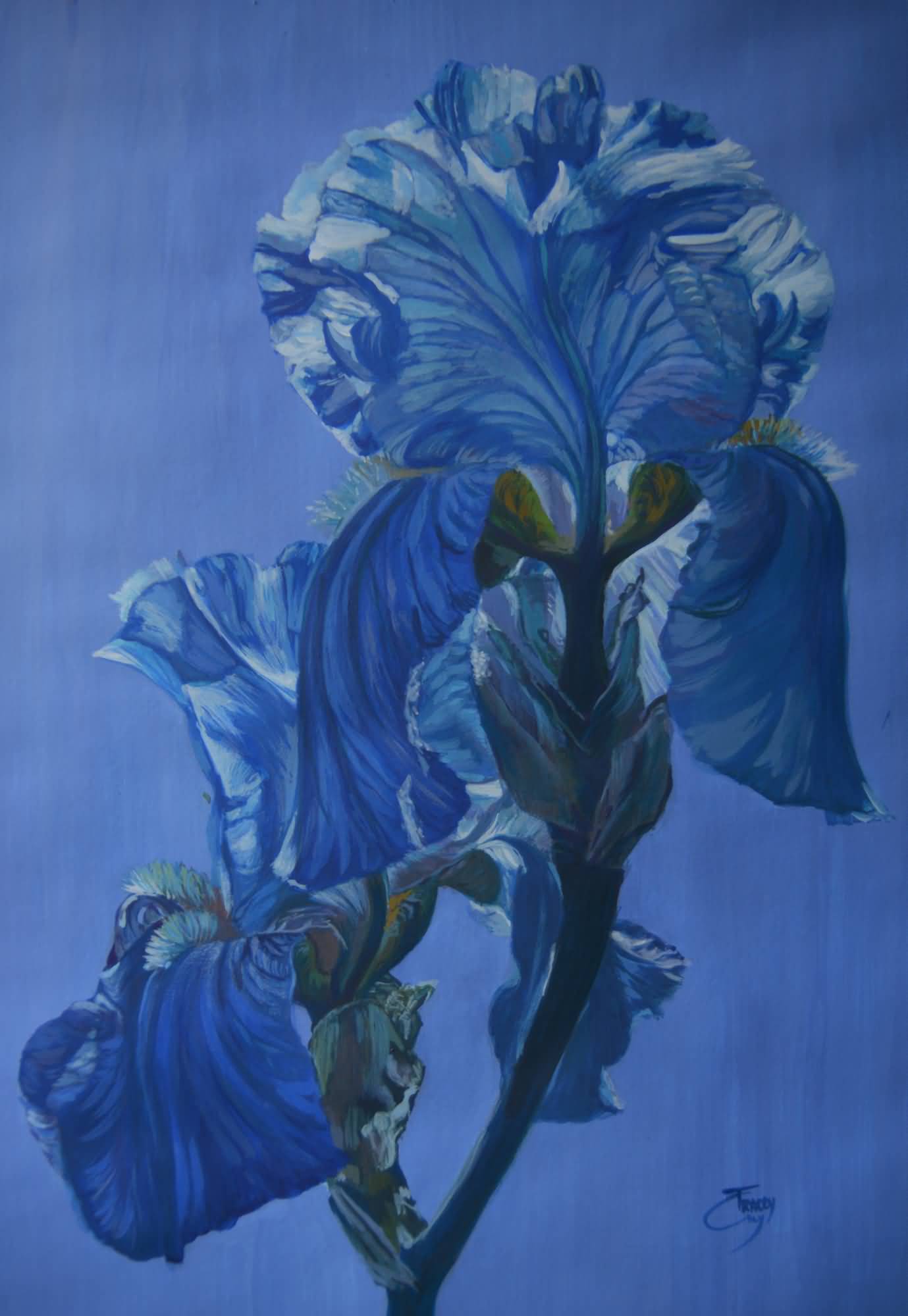 Iris flowers tempera on paper 26.5x39cm 2022