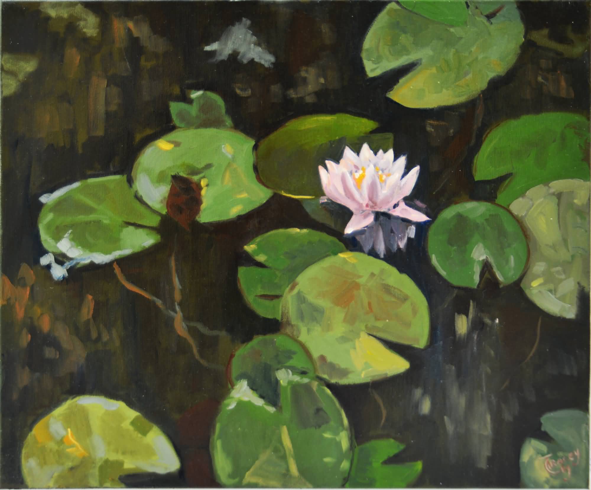 Waterlily pond. Oil on canvas. 50x60cm. 2019
