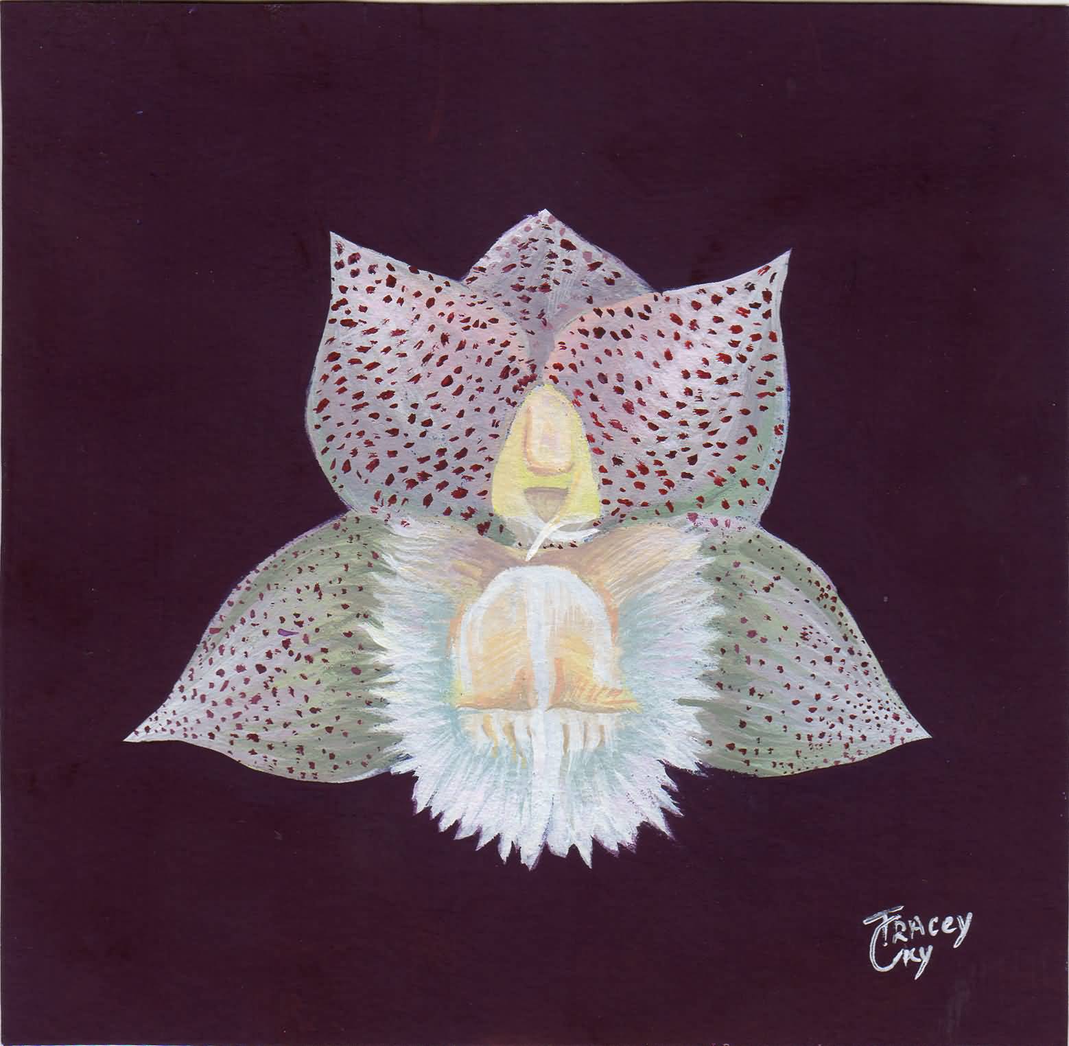 White orchid. Tempera on paper. 10x13 cm. 2021