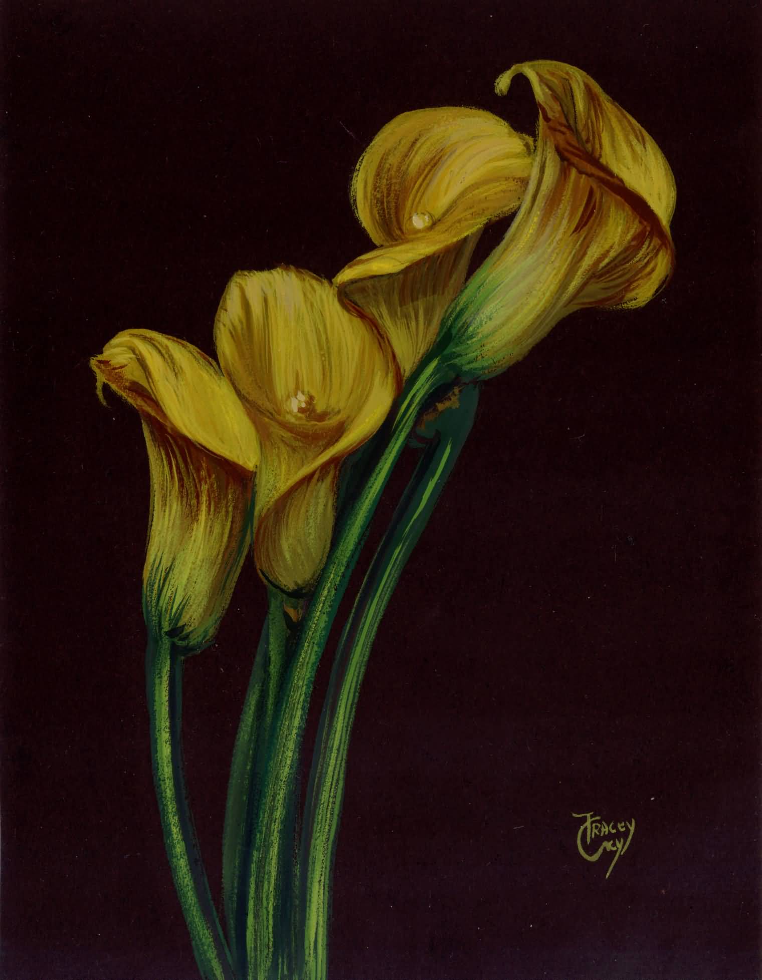 Yellow flowers. Tempera on paper. 13x20cm. 2022